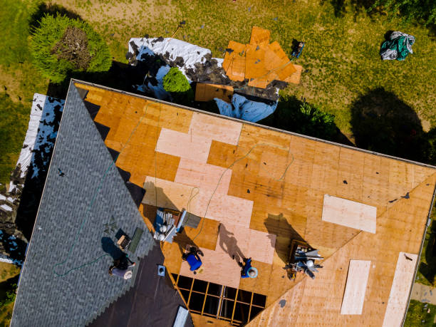 Best Residential Roofing Contractor  in Wenona, IL