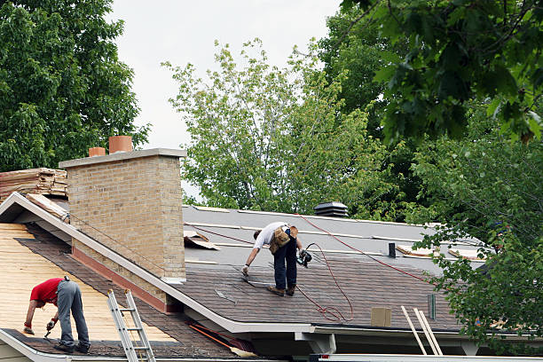 Roof Gutter Cleaning in Wenona, IL