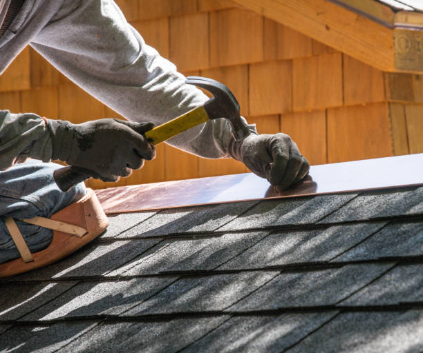 Best Roof Gutter Cleaning  in Wenona, IL